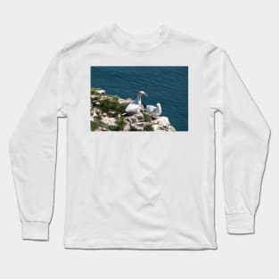 Pair of gannets at Bempton Cliffs Long Sleeve T-Shirt